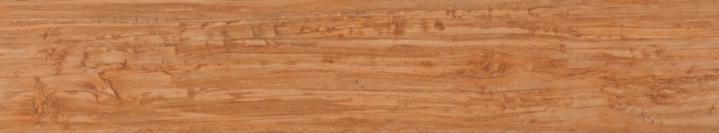 Sàn nhựa Winton giả gỗ PW2018